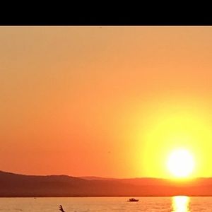 Meet your Posher, Deedee